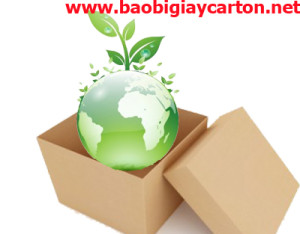 Bao bì vì môi trường, bao bì carton, thùng carton giá rẻ